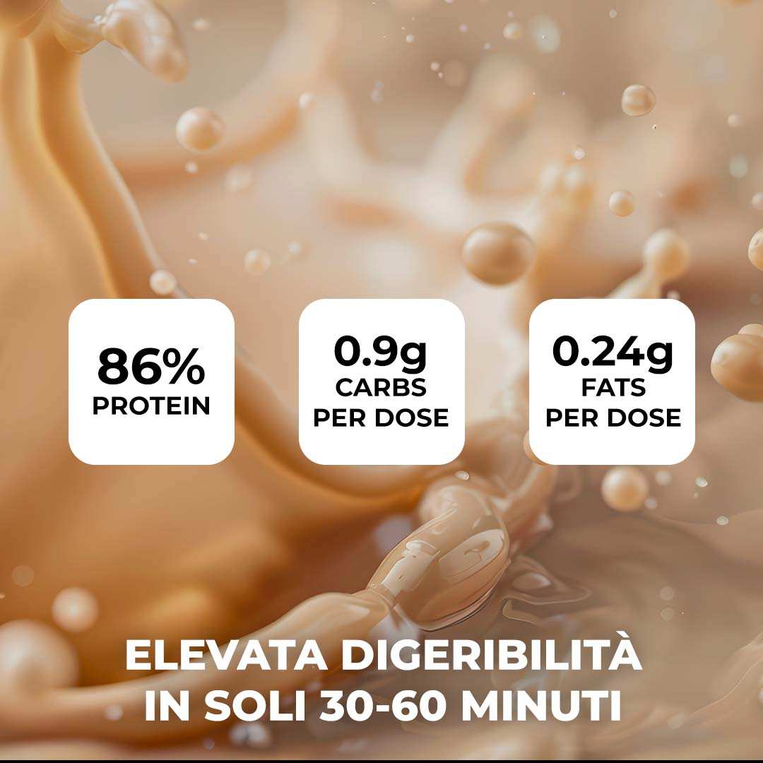 WPI 90 - Proteine del siero del latte Isolate Certificate Lacprodan® UW 90