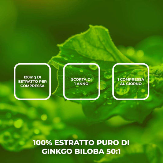 GINKGO BILOBA - Integratore alimentare a base di Estratto di Ginkgo Biloba 50:1