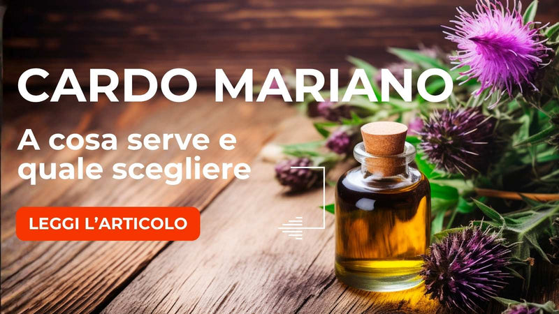 Cardo Mariano: A cosa serve e Quale scegliere