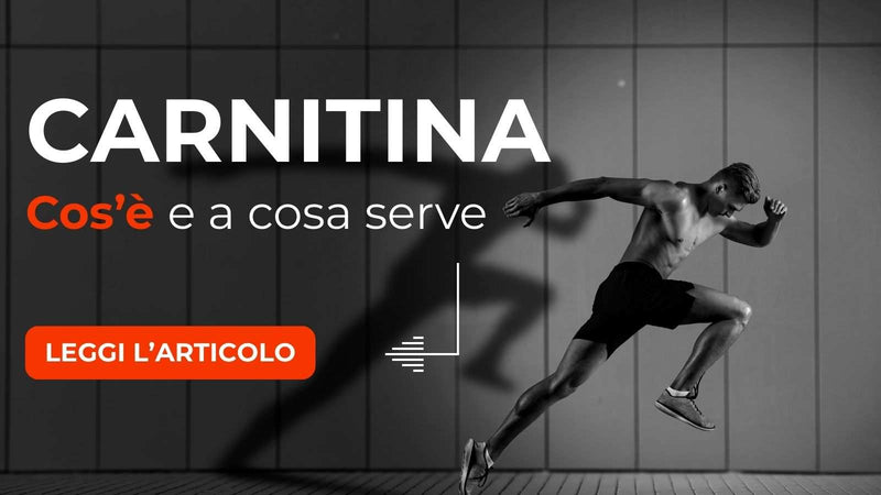 a cosa serve l carnitina Carnitina: serve, Cos'è e Quale scegliere – Fitmarket MULTIPACKS - choose your pack⬇:2 PACK BUNDLE Page 1 - Reviews No artifical flavors