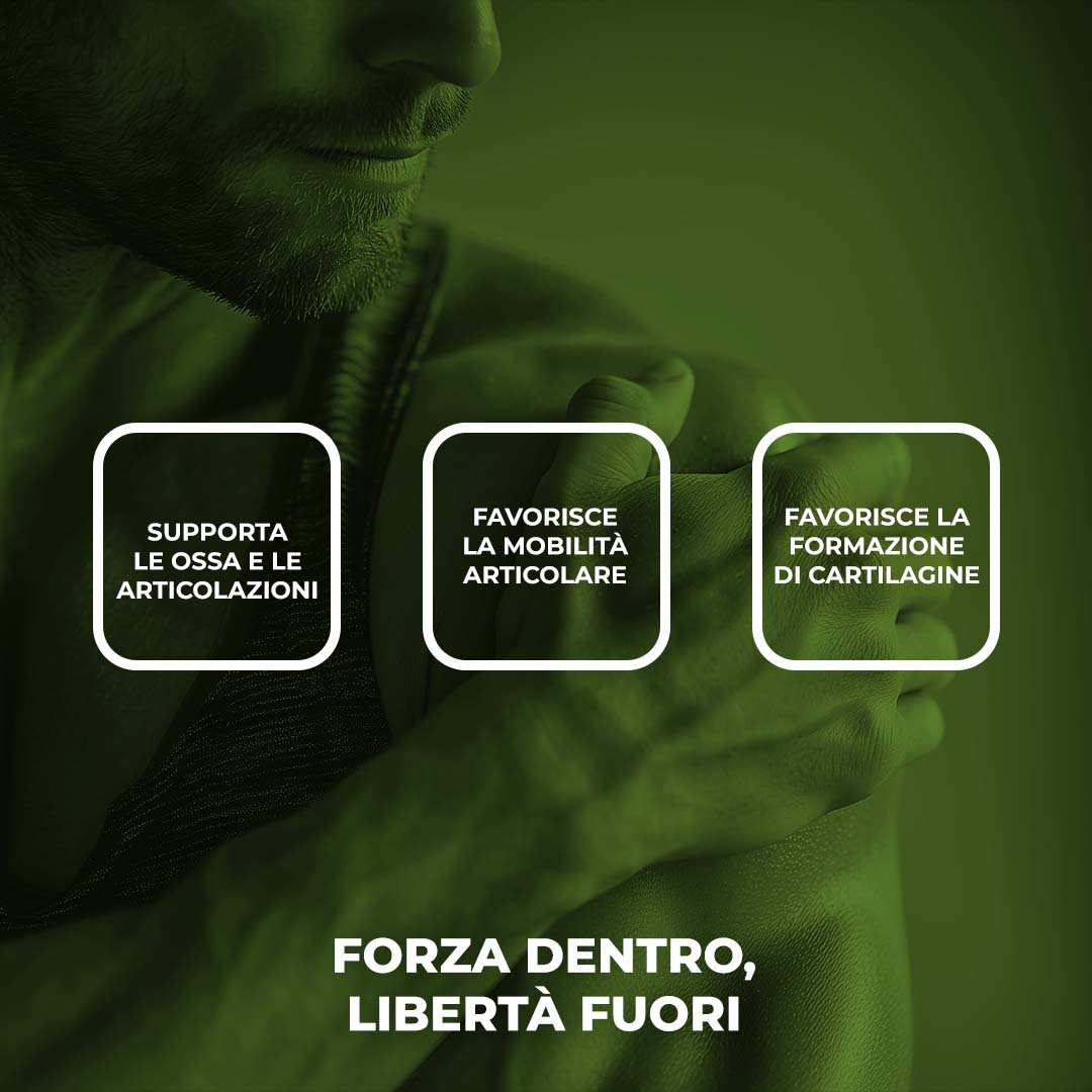 BLOCK PAIN - Integratore per le Articolazioni con Glucosamina, Condroitina, Boswellia e MSM