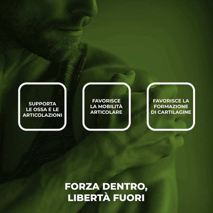 BLOCK PAIN - Integratore per le Articolazioni con Glucosamina, Condroitina, Boswellia e MSM