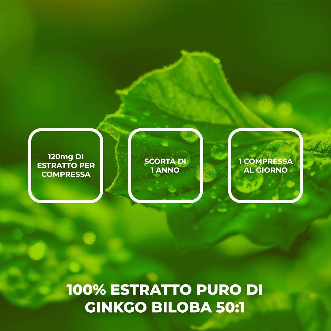 GINKGO BILOBA - Integratore alimentare a base di Estratto di Ginkgo Biloba 50:1