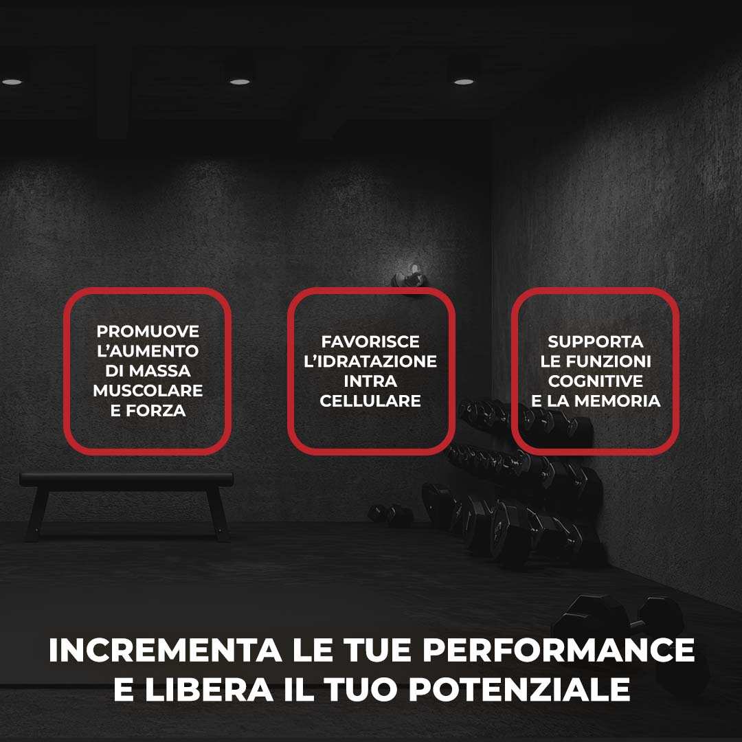 CREATINE MONO 100% - Creatina Monoidrato in polvere