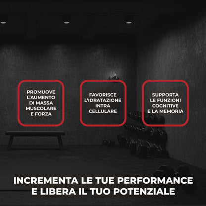 CREATINE MONO 100% - Creatina Monoidrato in polvere