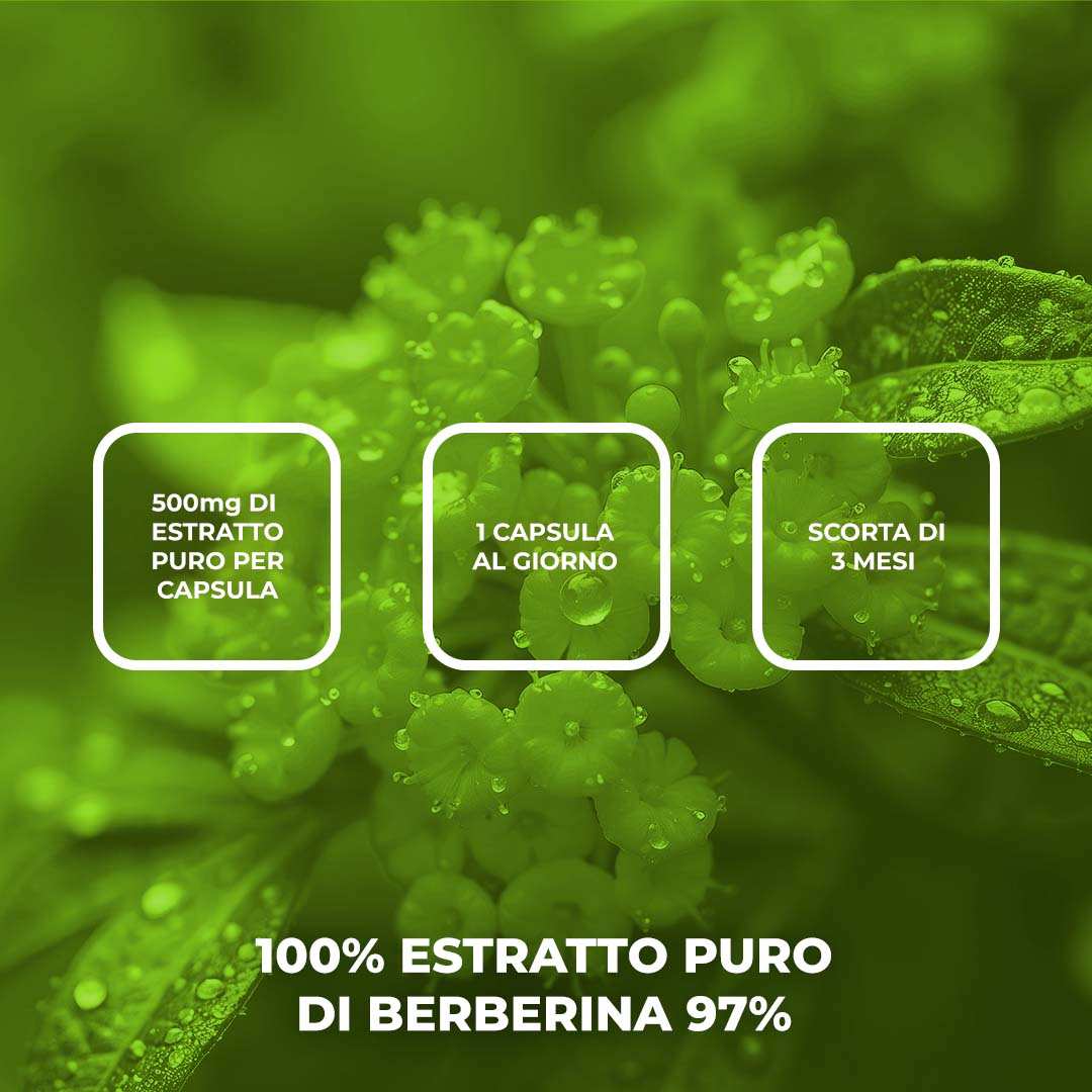 BERBERINA 100% - Integratore alimentare a base di Estratto di Berberina 97%