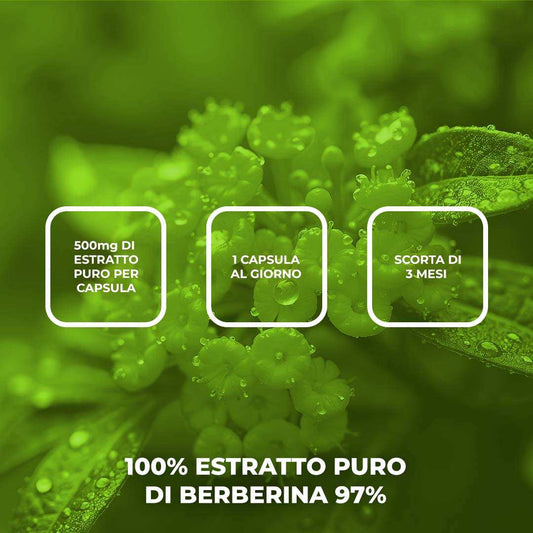 BERBERINA 100% - Integratore alimentare a base di Estratto di Berberina 97%