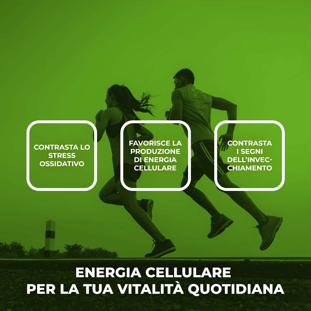 COENZIMA Q10 PLUS - Integratore alimentare a base di Coenzima Q10 e BioPerine®